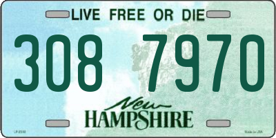 NH license plate 3087970