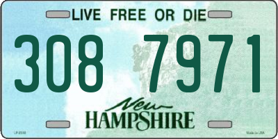 NH license plate 3087971