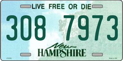 NH license plate 3087973