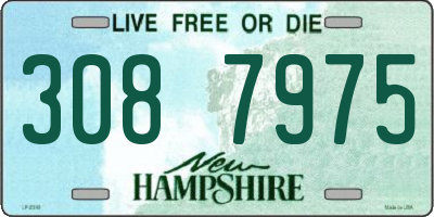 NH license plate 3087975