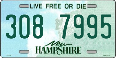 NH license plate 3087995