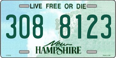 NH license plate 3088123