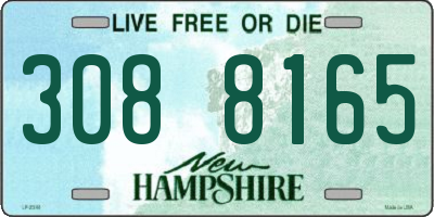 NH license plate 3088165