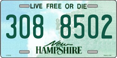 NH license plate 3088502