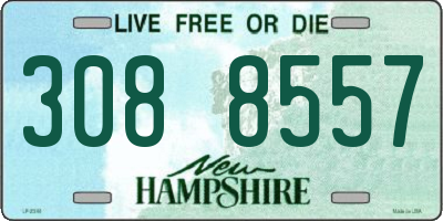 NH license plate 3088557
