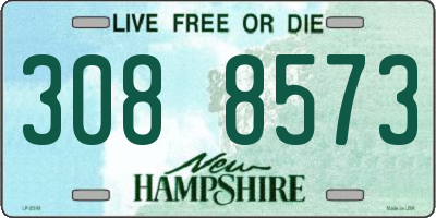 NH license plate 3088573