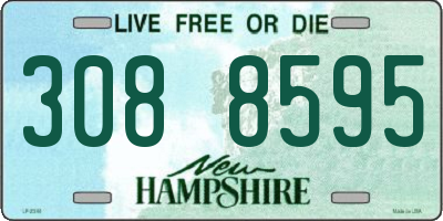 NH license plate 3088595