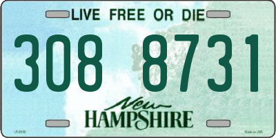 NH license plate 3088731