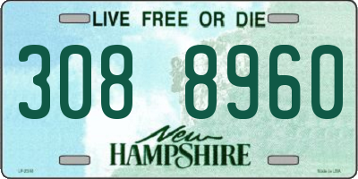 NH license plate 3088960