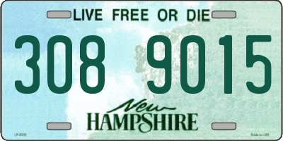NH license plate 3089015