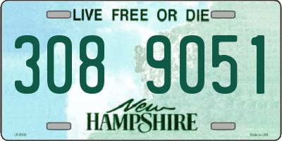 NH license plate 3089051