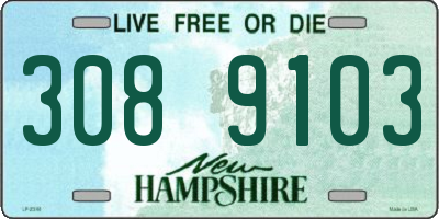 NH license plate 3089103