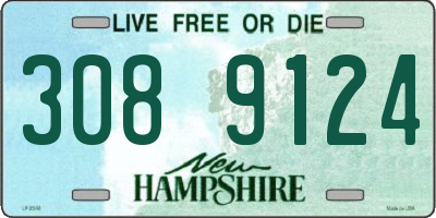 NH license plate 3089124