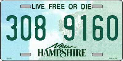 NH license plate 3089160