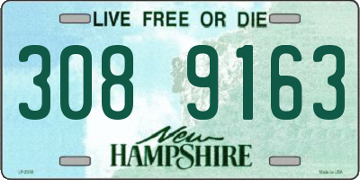 NH license plate 3089163