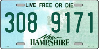 NH license plate 3089171