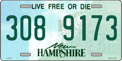 NH license plate 3089173
