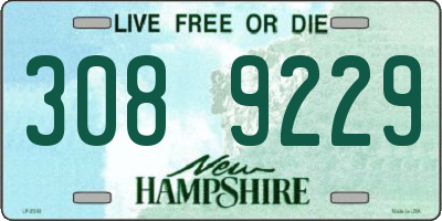 NH license plate 3089229
