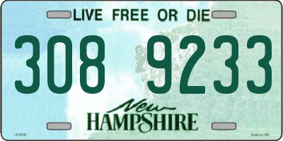 NH license plate 3089233