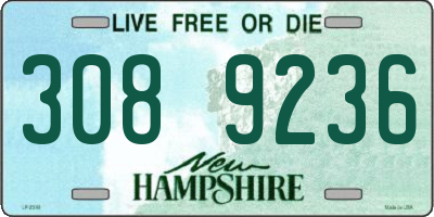 NH license plate 3089236