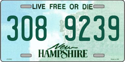 NH license plate 3089239