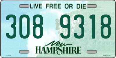 NH license plate 3089318