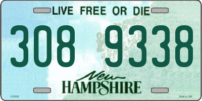 NH license plate 3089338