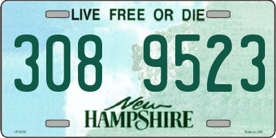 NH license plate 3089523