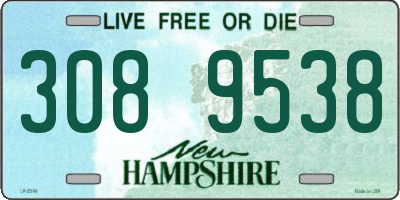 NH license plate 3089538