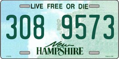 NH license plate 3089573