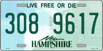 NH license plate 3089617