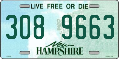 NH license plate 3089663
