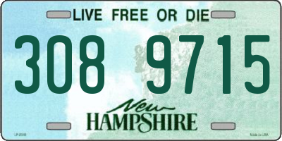 NH license plate 3089715