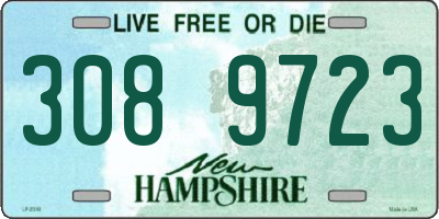 NH license plate 3089723