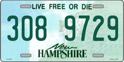 NH license plate 3089729