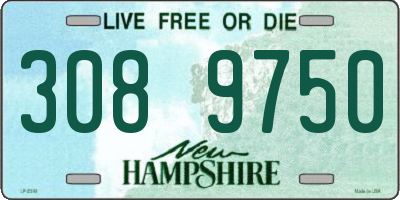 NH license plate 3089750