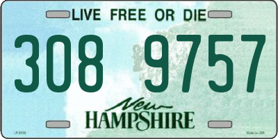 NH license plate 3089757