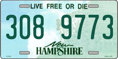 NH license plate 3089773