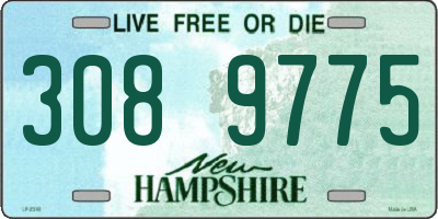 NH license plate 3089775
