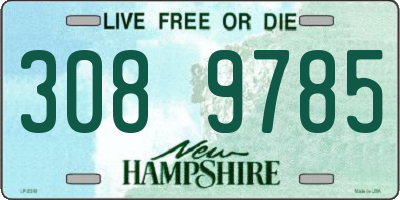 NH license plate 3089785