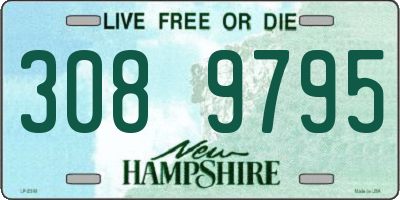 NH license plate 3089795