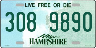 NH license plate 3089890