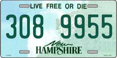 NH license plate 3089955
