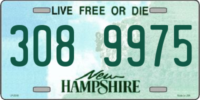 NH license plate 3089975