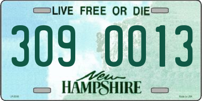 NH license plate 3090013