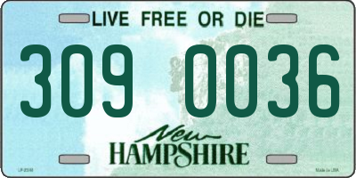 NH license plate 3090036