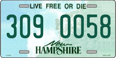 NH license plate 3090058