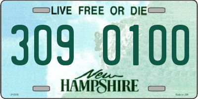 NH license plate 3090100