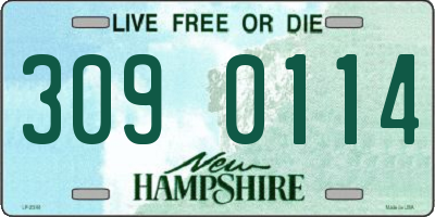 NH license plate 3090114