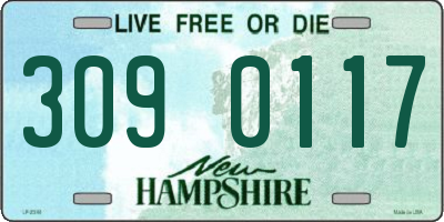 NH license plate 3090117